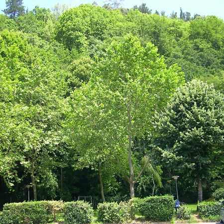 Apartamento En Contranquil Daire Onís Dış mekan fotoğraf